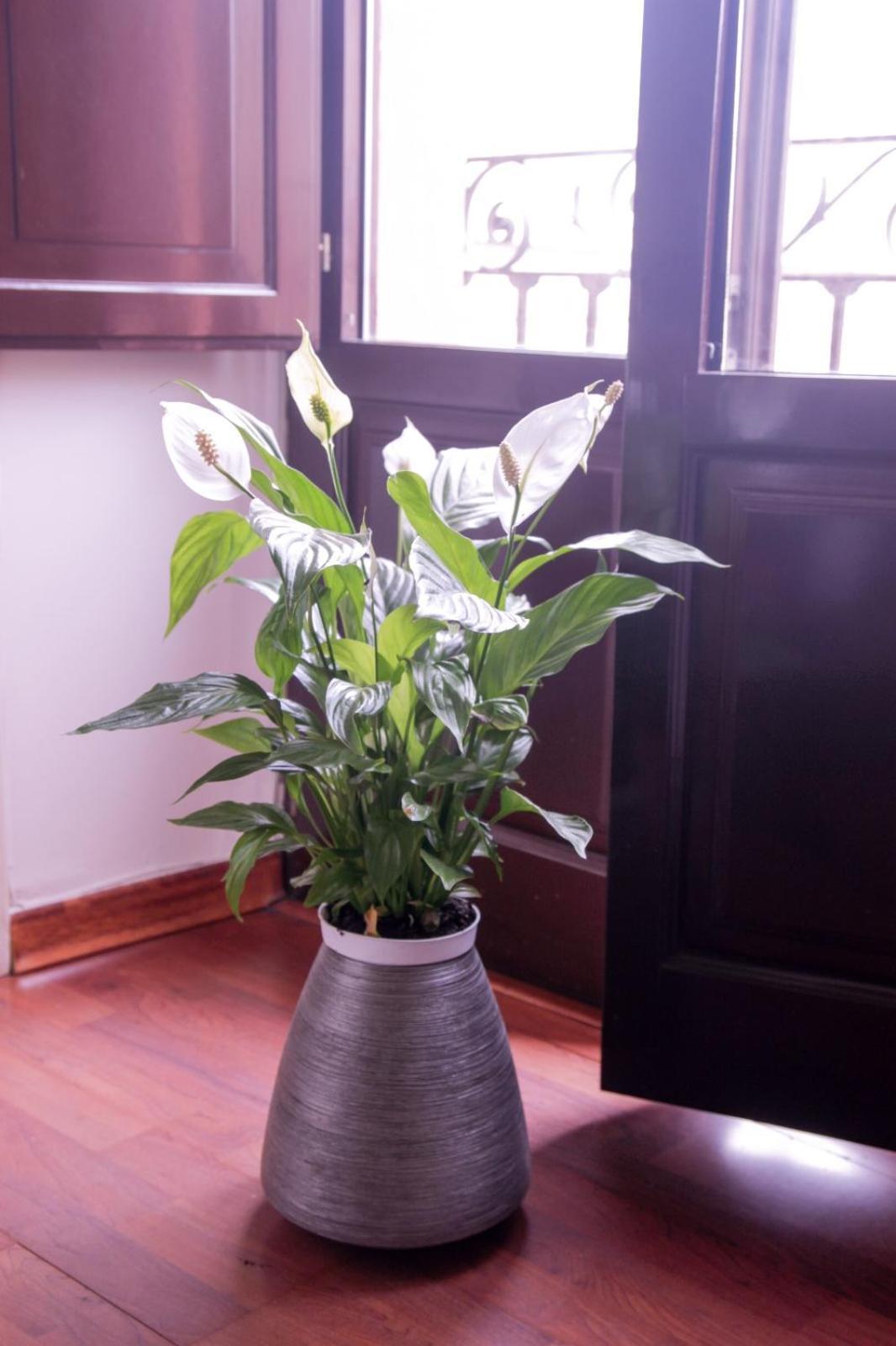 Hosfty Centro Mirador San Marcos 1 Appartement Sevilla Buitenkant foto